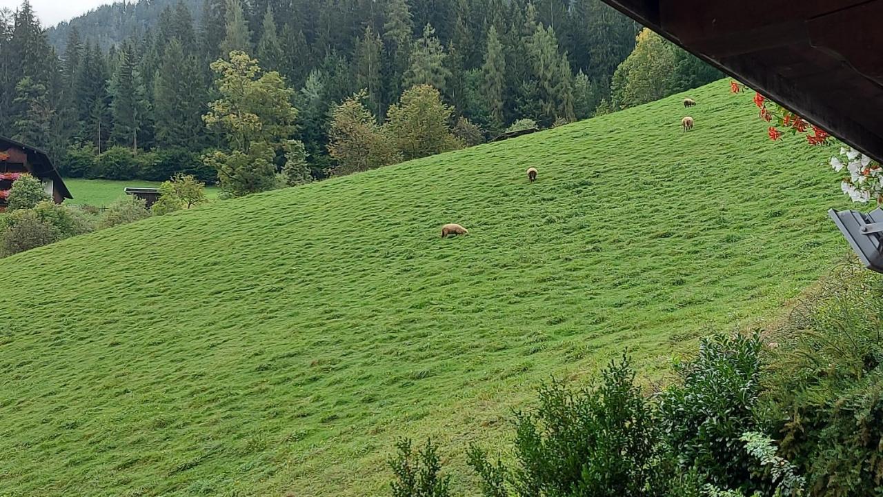 Appartements Zellner Alpbach Eksteriør bilde