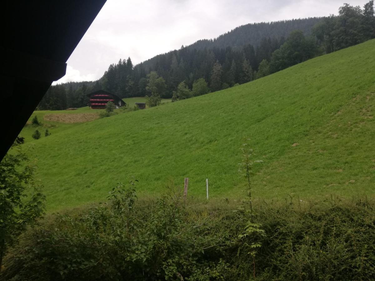 Appartements Zellner Alpbach Eksteriør bilde