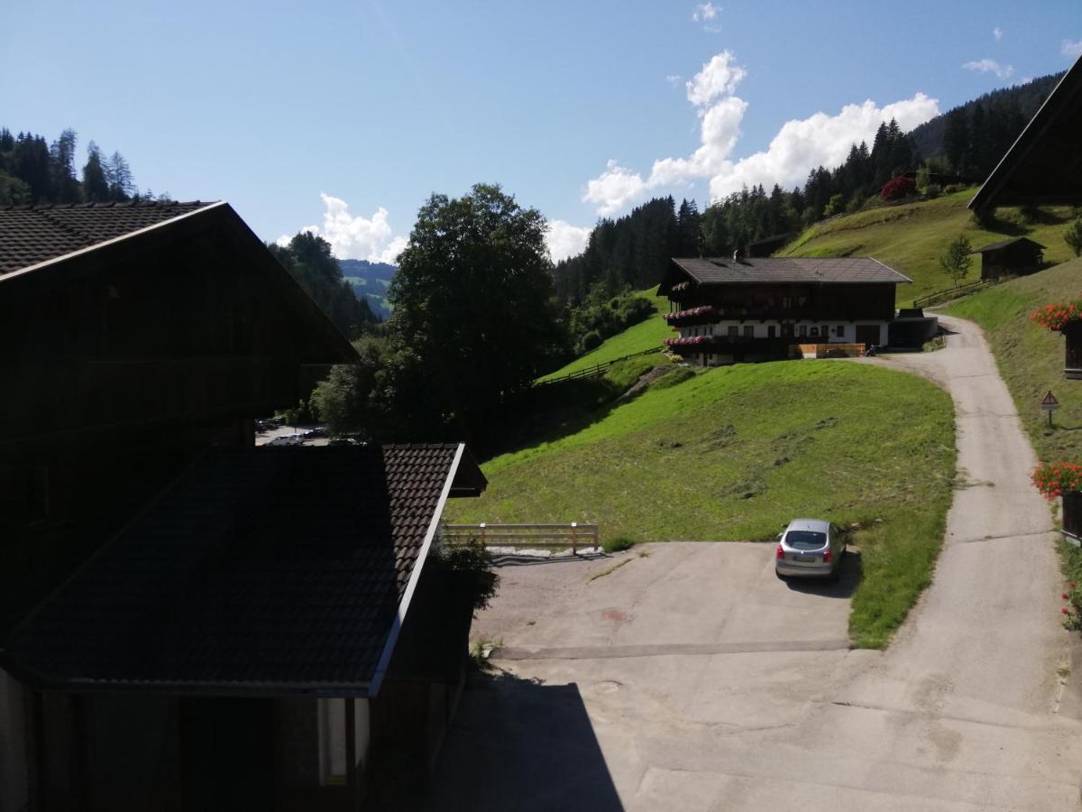 Appartements Zellner Alpbach Eksteriør bilde