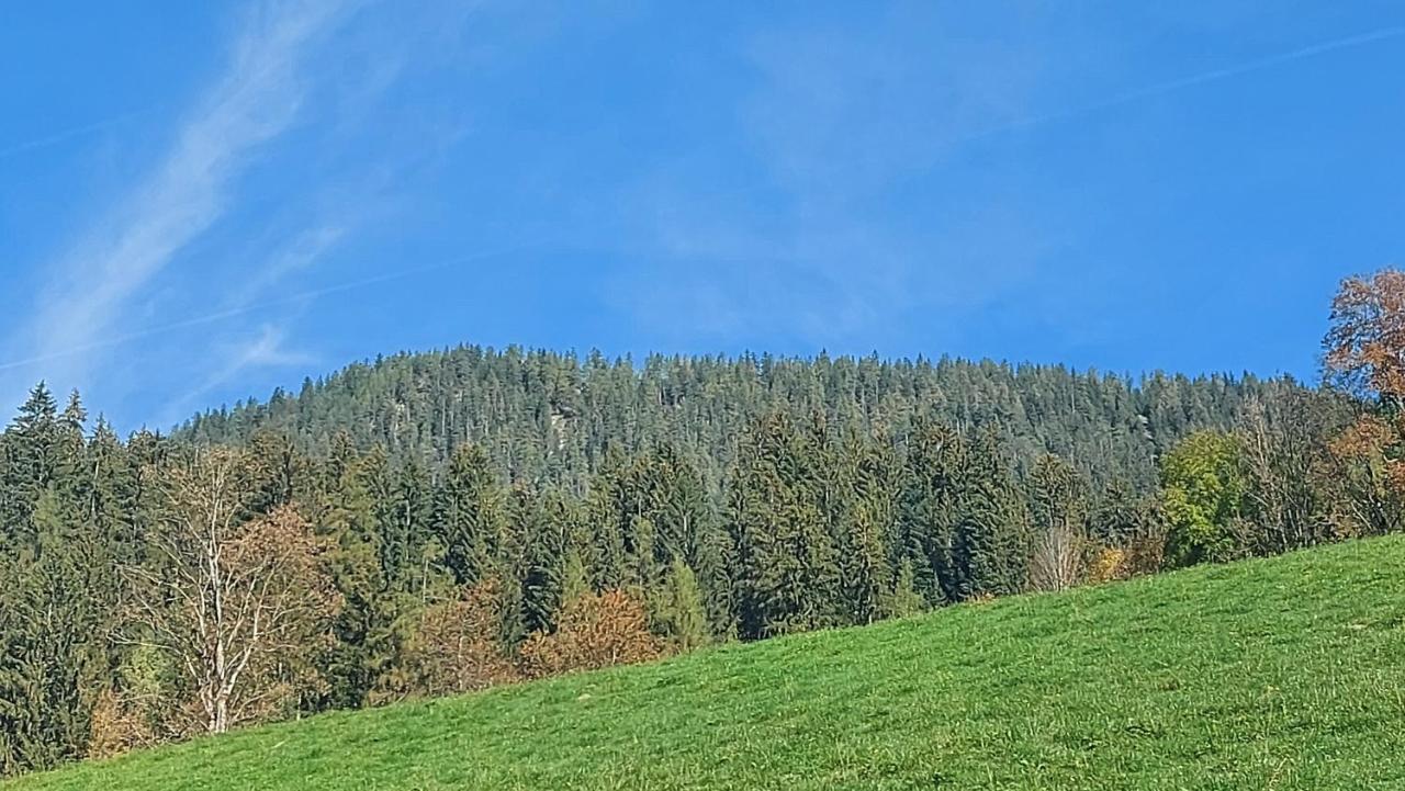 Appartements Zellner Alpbach Eksteriør bilde